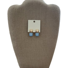 Load image into Gallery viewer, The Jewel Earring (Postback)