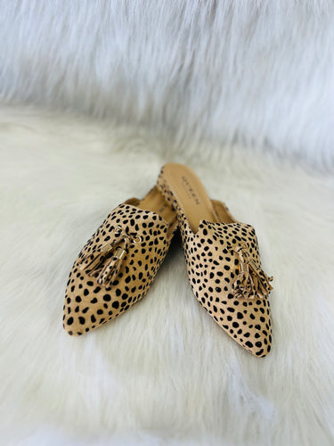 The Darcy Mules