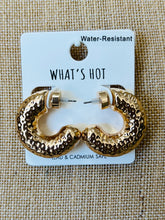 Load image into Gallery viewer, The Lou Hoops