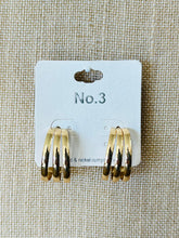 Load image into Gallery viewer, The Hudson Hoops